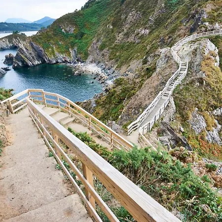 Enviveiro Bonita *
